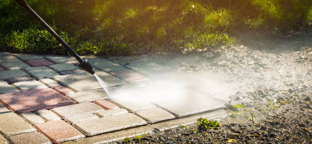 Best Roof Washing  in Ellport, PA